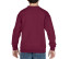 YOUTH CREWNECK SWEATSHIRT